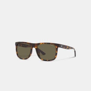 Coach Beveled Signature Flat Top Square Men Sunglasses Brown | UAE_CH49069