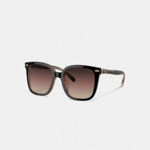 Coach Beveled Signature Oversized Square Women Sunglasses Black / Pink | UAE_CH15484