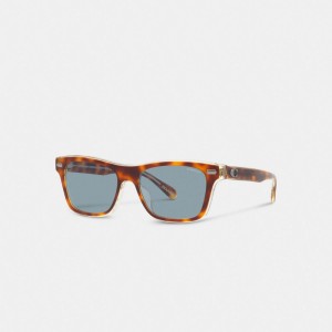 Coach Beveled Signature Square Men Sunglasses Blue | UAE_CH83065