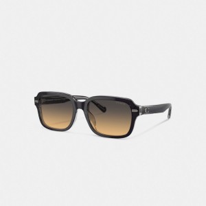 Coach Beveled Signature Square Men Sunglasses Dark Grey | UAE_CH14576