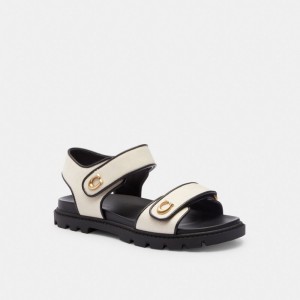 Coach Brynn Chalk Women Sandals Black | UAE_CH74464