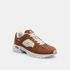 Coach C301 Men Sneakers Brown | UAE_CH81208