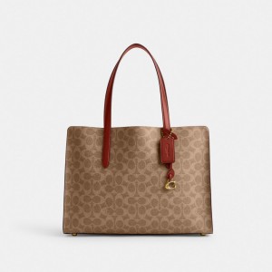 Coach Carter In Signature Women Handbag Brown / Red | UAE_CH92350