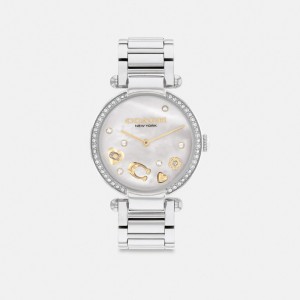Coach Cary 34 Mm Stainless Steel Women Watches Grey | UAE_CH48761