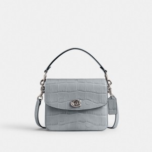 Coach Cassie 19 Croc Embossed Leather Women Crossbody Bags Grey Blue | UAE_CH11674
