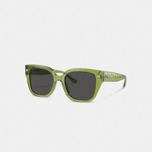 Coach Charms Oversized Square Women Sunglasses Green | UAE_CH17442