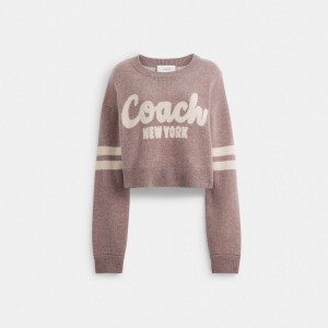 Coach Cropped Women Sweaters Pink | UAE_CH71474