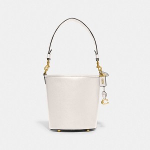 Coach Dakota Bucket 16 Glovetanned Leather Women Shoulder Bags White | UAE_CH56698