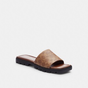 Coach Florence In Signature Women Sandals Khaki / Dark | UAE_CH20450