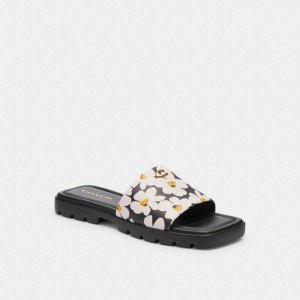 Coach Florence With Floral Print Chalk Women Sandals Multicolor | UAE_CH86973