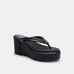 Coach Franki Flip Flop In Signature Jacquard Women Sandals Black | UAE_CH87286