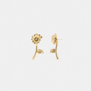 Coach Garden Flower Stem Stud Women Earrings Gold | UAE_CH39643