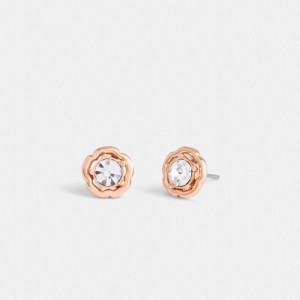 Coach Halo Tea Stud Women Earrings Rose Gold | UAE_CH72003