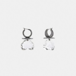 Coach Heart Gemstone Women Earrings Silver | UAE_CH23126