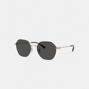 Coach Hinged Geometric Round Men Sunglasses Gold Black | UAE_CH56468
