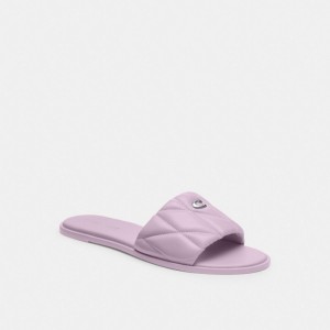 Coach Holly With Quilting Soft Women Sandals Purple | UAE_CH88984