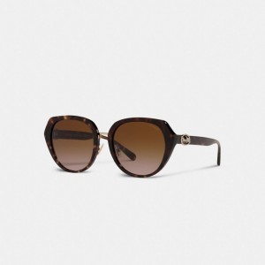 Coach Horse And Carriage Oversized Round Women Sunglasses Black | UAE_CH86923