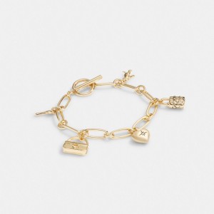 Coach Iconic Charm Chain Women Bracelets Gold | UAE_CH81225