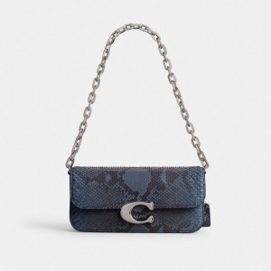 Coach Idol 23 In Python Women Shoulder Bags Silver / Blue | UAE_CH59296