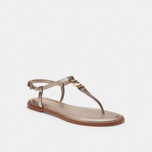 Coach Jessica Champagne Women Sandals Brown | UAE_CH54185