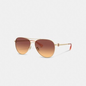 Coach Metal Aviator Women Sunglasses Dark Brown | UAE_CH97601