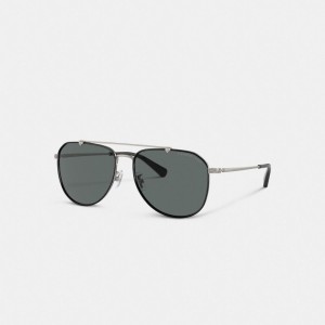Coach Metal Windsor Pilot Men Sunglasses Black / Grey | UAE_CH32452