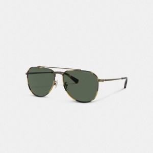 Coach Metal Windsor Pilot Men Sunglasses Gold | UAE_CH30583