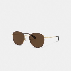Coach Metal Windsor Round Men Sunglasses Brown / Gold | UAE_CH46886