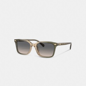 Coach Narrow Square Men Sunglasses Green / Brown | UAE_CH31448