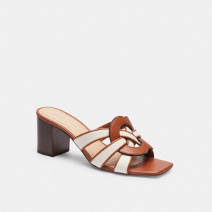 Coach Nikki Chalk Burnished Amber Women Sandals Brown | UAE_CH59786
