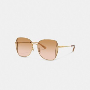 Coach Oversized Butterfly Peach Blush Women Sunglasses Coral Pink | UAE_CH50609