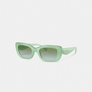 Coach Pillow Tabby Narrow Rectangle Mint Women Sunglasses Mint | UAE_CH44415