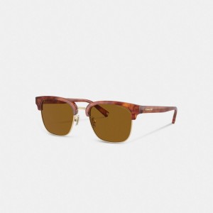 Coach Retro Men Sunglasses Brown | UAE_CH12230