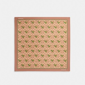 Coach Rexy Print Silk Bandana Women Hats Khaki | UAE_CH72234