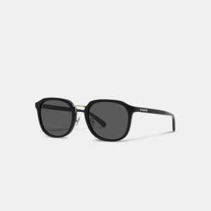 Coach Rounded Geometric Men Sunglasses Black | UAE_CH59909