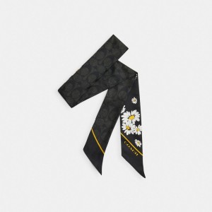 Coach Signature Daisy Cluster Print Silk Skinny Women Scarf Black | UAE_CH75057