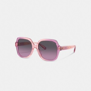 Coach Signature Ombré Oversized Square Women Sunglasses Pink Purple | UAE_CH83111