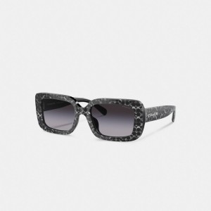 Coach Signature Oversized Rectangle Pearlized Signature Women Sunglasses Silver | UAE_CH29914