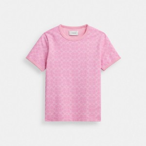 Coach Signature Ringer In Organic Cotton Signature Women T Shirts Pink | UAE_CH51487