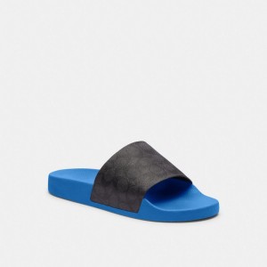 Coach Slideberry Men Sandals Blue | UAE_CH29978