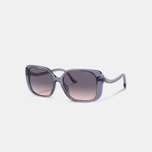 Coach Swoop Temple Rectangle Transparent Women Sunglasses Purple | UAE_CH18721