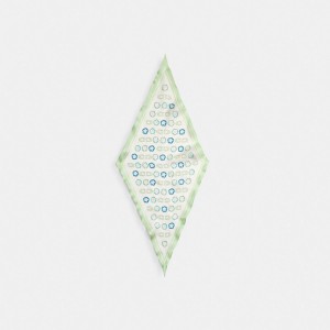 Coach Tea Print Silk Diamond Pale Pistachio Women Scarf Rose | UAE_CH56472