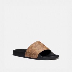Coach Udele Sport In Signature Women Sandals Brown | UAE_CH82380