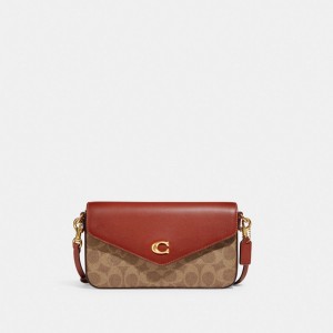 Coach Wyn In Signature Women Crossbody Bags Brown / Red | UAE_CH82642