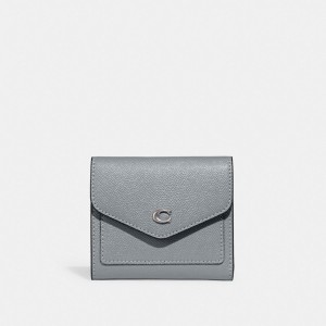 Coach Wyn Leather Women Small Wallets Grey Blue | UAE_CH79855